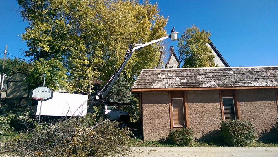 Crane removing a tree beside a residential roofline on an Edmonds Tree Service job