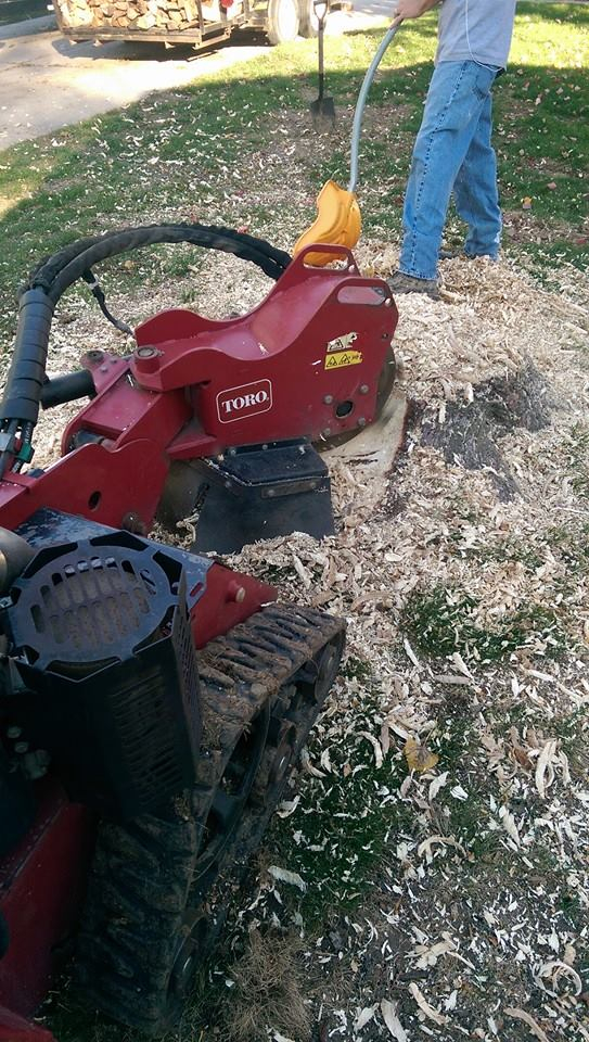 Toro stump grinder beside fresh wood chips on a job site